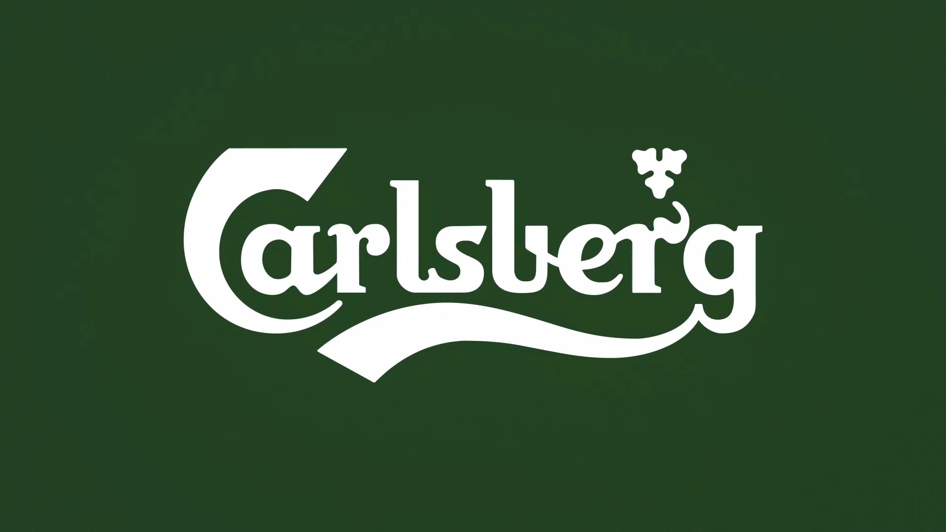 Carlsberg — case study