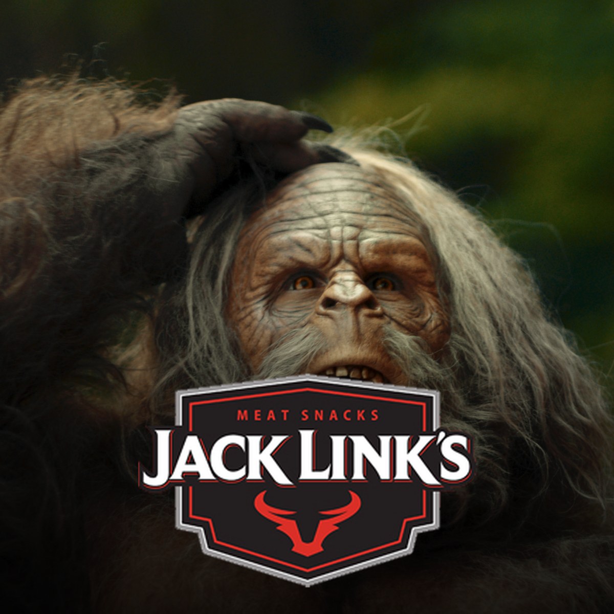 Jack Link's